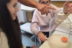 WhatsApp-Image-2025-10-09-at-11.48.48-1