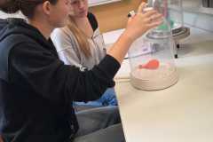 WhatsApp-Image-2025-10-09-at-11.48.49-4