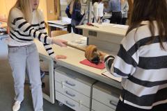 WhatsApp-Image-2025-10-09-at-11.48.49