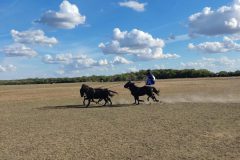 IMG_20230920_160935-rotated